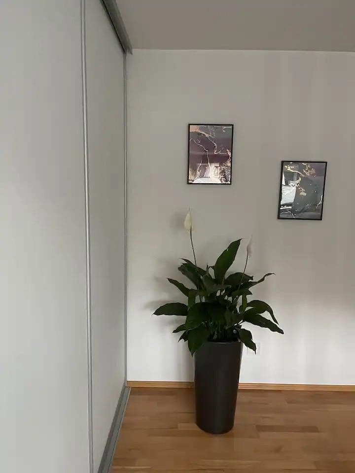 Prenájom bytu 2-izbový 57 m², München, Bavorsko Prenájom bytu 2-izbový 57 m², München, Bavorsko