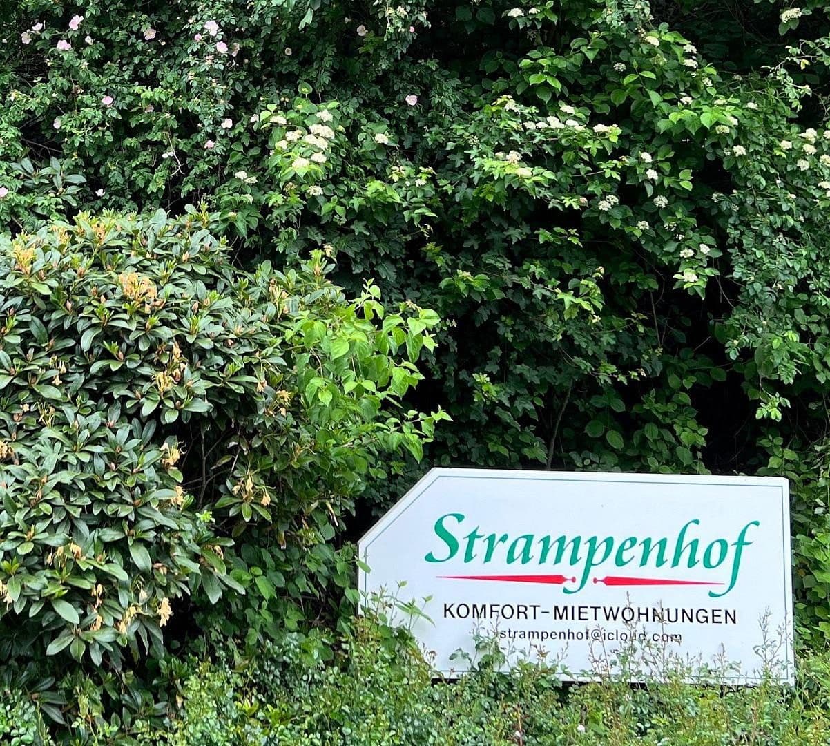 Prenájom bytu 3-izbový 116 m², An der Hofkoppel 6 a, Bad Bevensen, Dolné Sasko Prenájom bytu 3-izbový 116 m², An der Hofkoppel 6 a, Bad Bevensen, Dolné Sasko