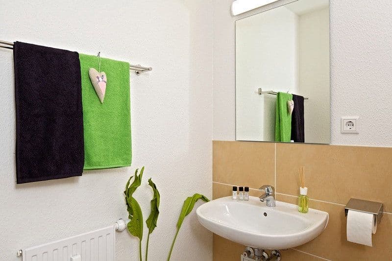 Prenájom bytu 1-izbový 13 m², Franklinstraße 20, Dresden, Sasko Prenájom bytu 1-izbový 13 m², Franklinstraße 20, Dresden, Sasko