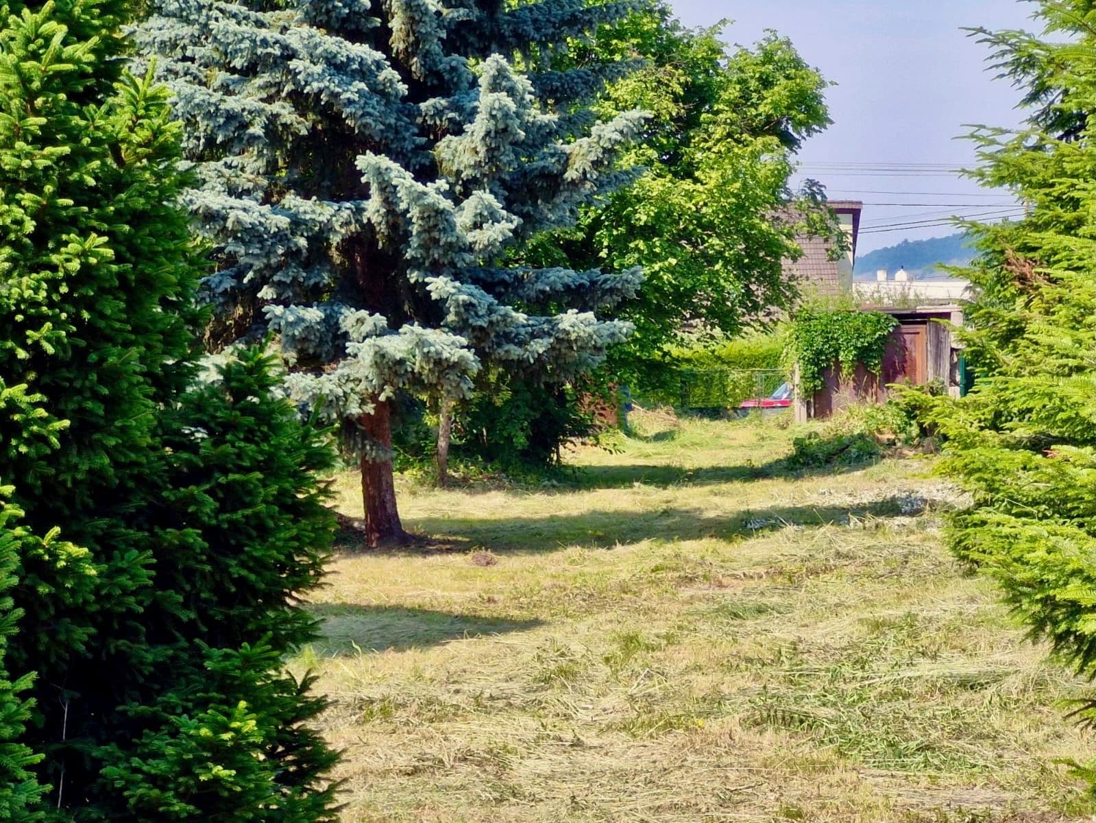 Predaj pozemku 2.692 m², Ľubotice, Prešovský kraj Predaj pozemku 2.692 m², Ľubotice, Prešovský kraj