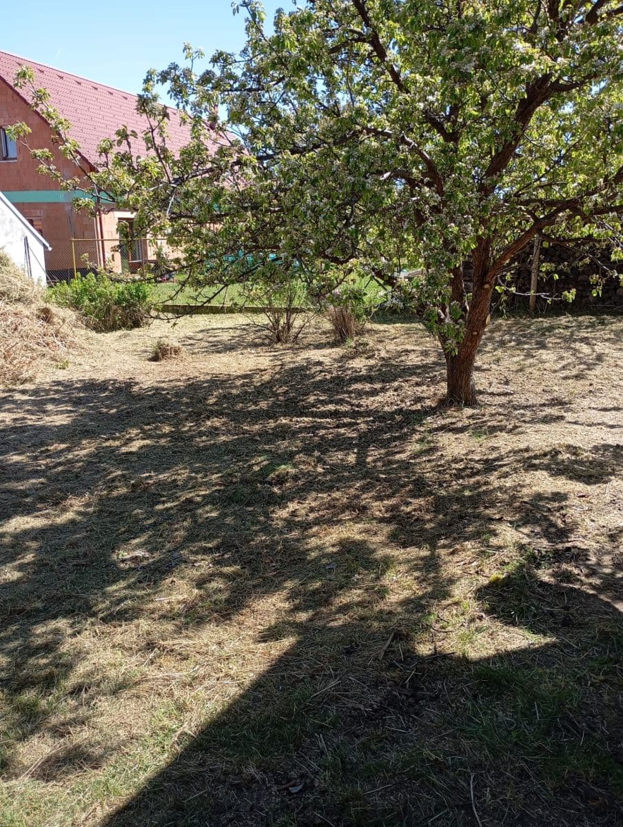 Predaj domu 132 m², pozemek 835 m², Stříbřec, Jihočeský kraj Predaj domu 132 m², pozemek 835 m², Stříbřec, Jihočeský kraj