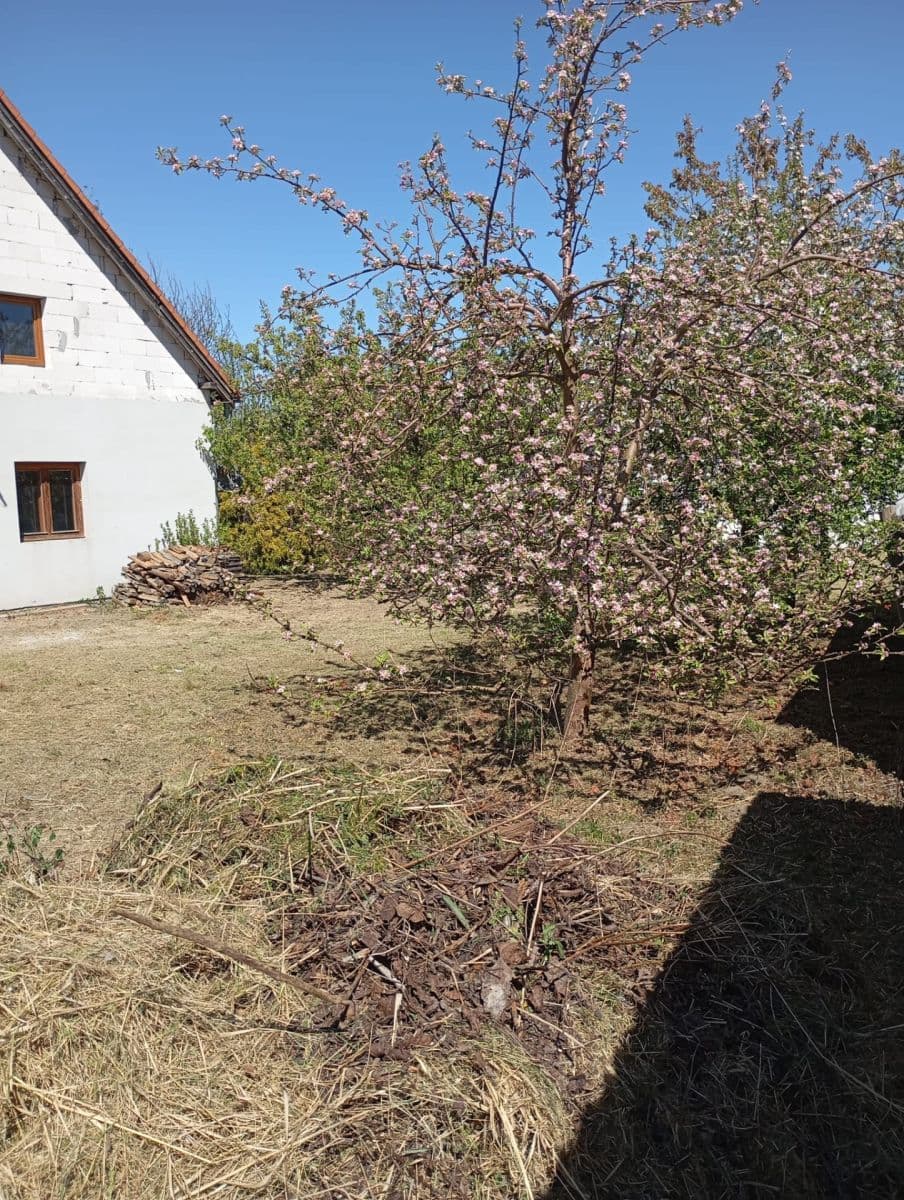 Predaj domu 132 m², pozemek 835 m², Stříbřec, Jihočeský kraj Predaj domu 132 m², pozemek 835 m², Stříbřec, Jihočeský kraj