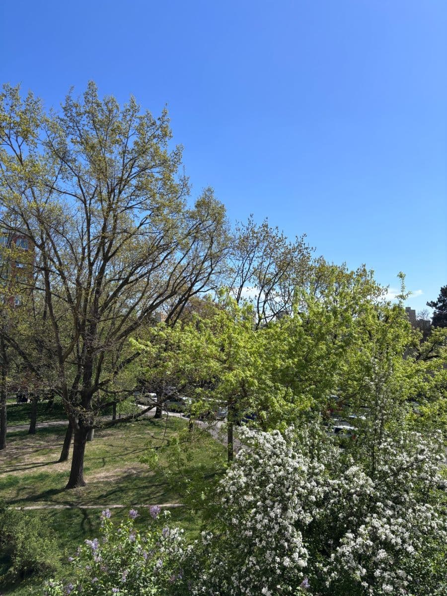 Prenájom bytu 3-izbový 77 m², Novodvorská, Praha, Praha Prenájom bytu 3-izbový 77 m², Novodvorská, Praha, Praha