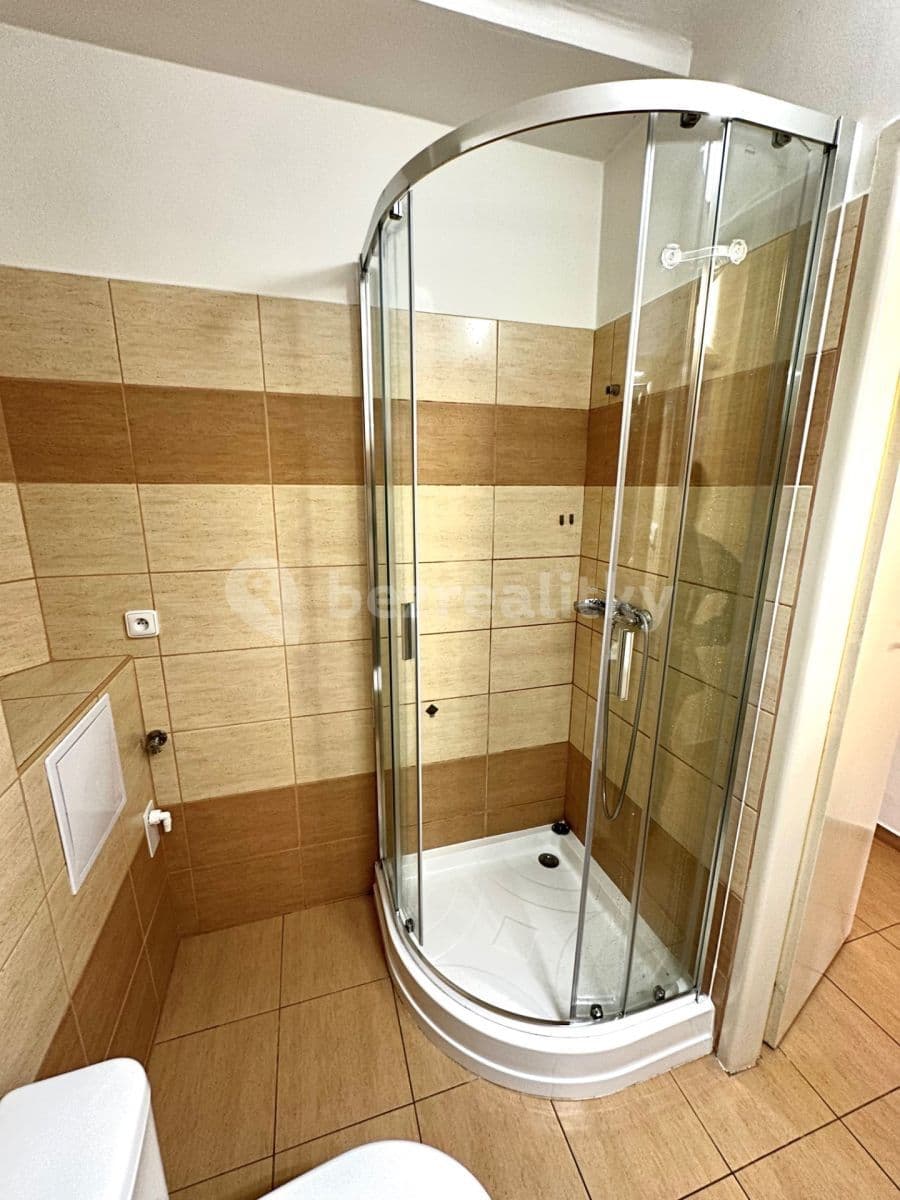 Prenájom bytu 1-izbový 16 m², Vrchlického, Praha, Praha Prenájom bytu 1-izbový 16 m², Vrchlického, Praha, Praha