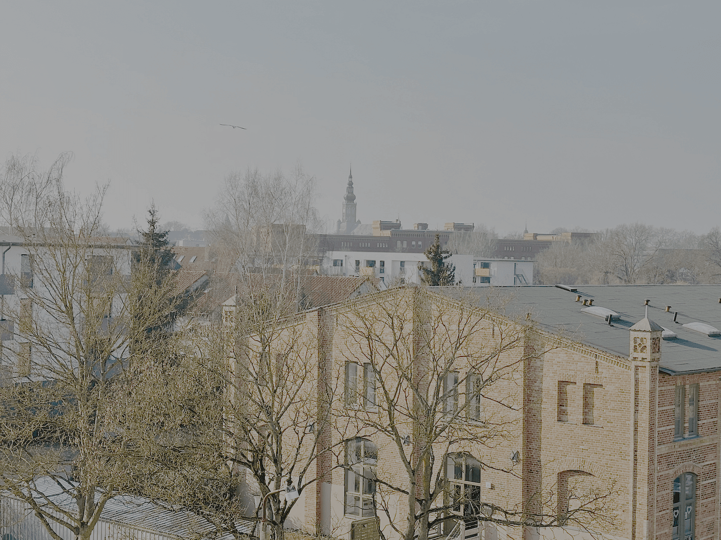 Prenájom bytu 3-izbový 59 m², Greifswald, Meklenbursko-Predpomoransko Prenájom bytu 3-izbový 59 m², Greifswald, Meklenbursko-Predpomoransko