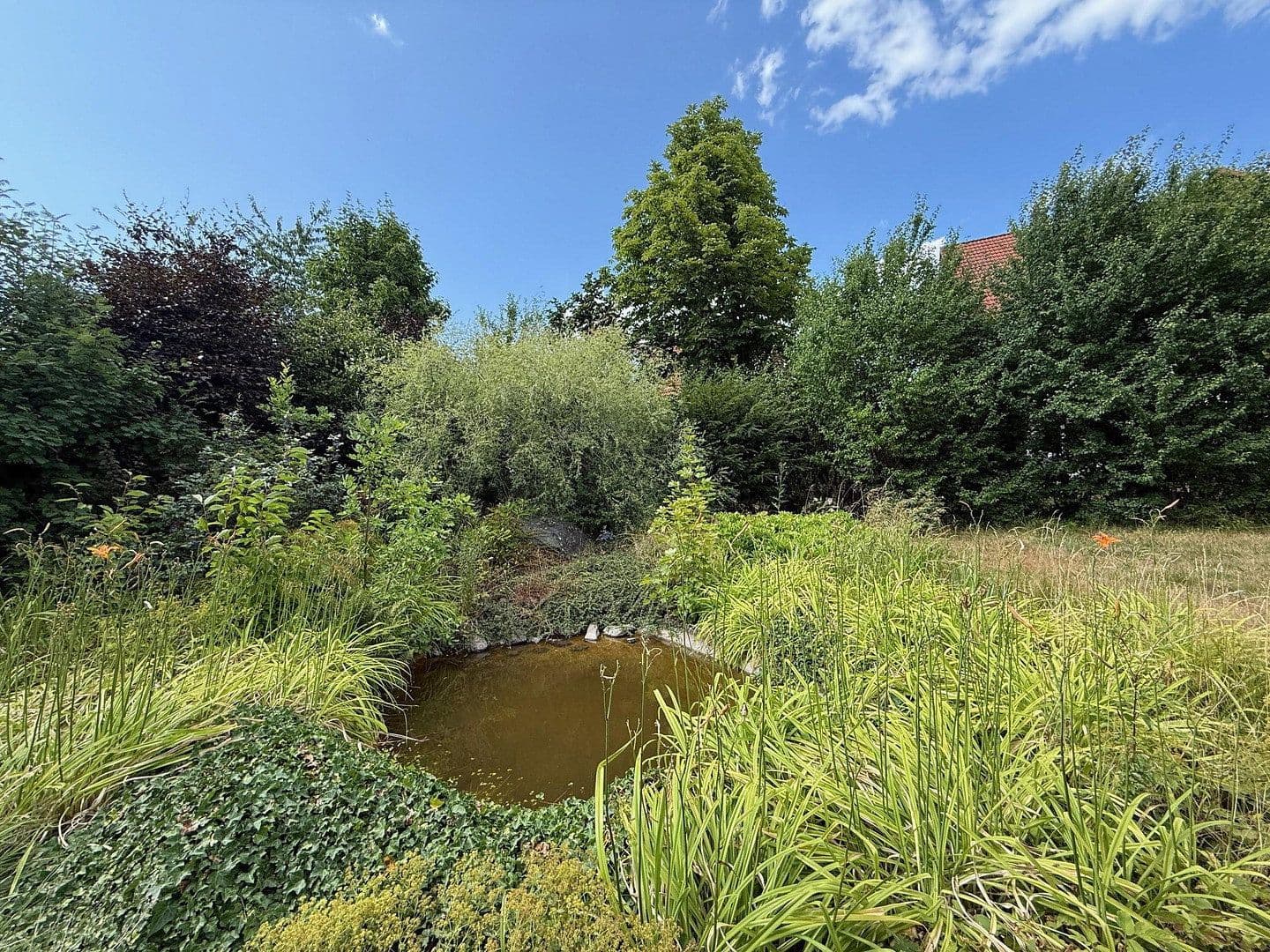 Predaj domu 478 m², pozemek 1.827 m², Neuhof, Hesensko Predaj domu 478 m², pozemek 1.827 m², Neuhof, Hesensko