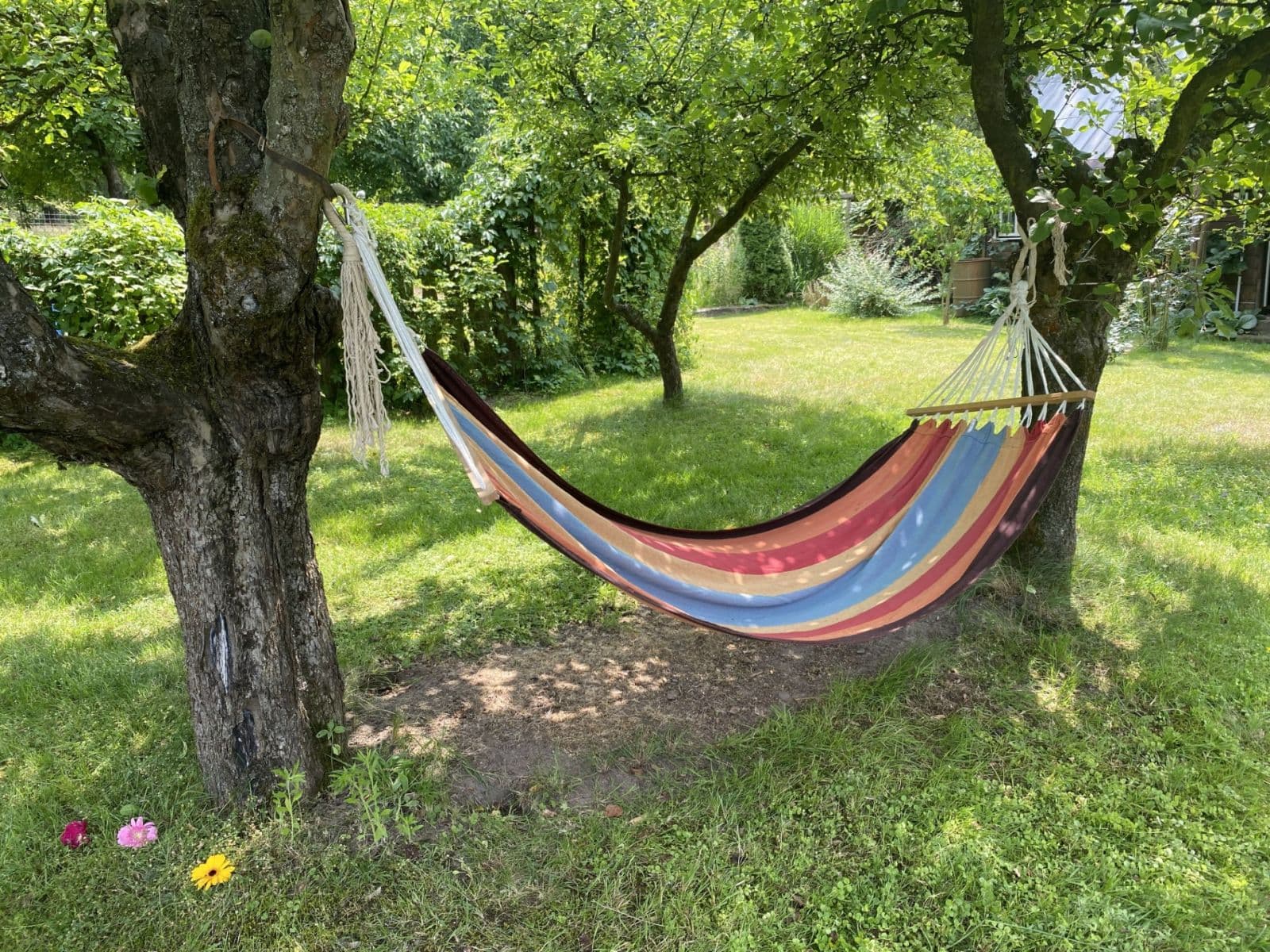 Predaj domu 433 m², pozemek 1.000 m², Mnichovo Hradiště, Středočeský kraj Predaj domu 433 m², pozemek 1.000 m², Mnichovo Hradiště, Středočeský kraj