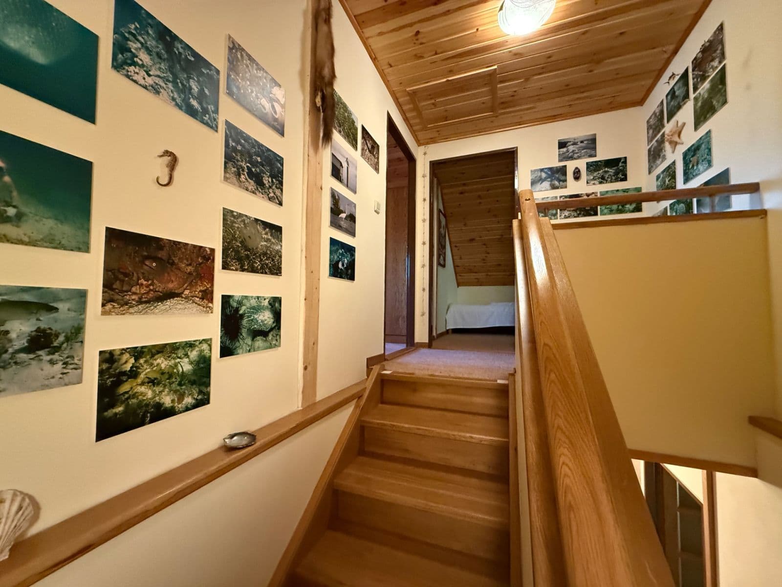 Predaj rekreačného objektu 120 m², pozemek 900 m², Bystré, Královéhradecký kraj Predaj rekreačného objektu 120 m², pozemek 900 m², Bystré, Královéhradecký kraj