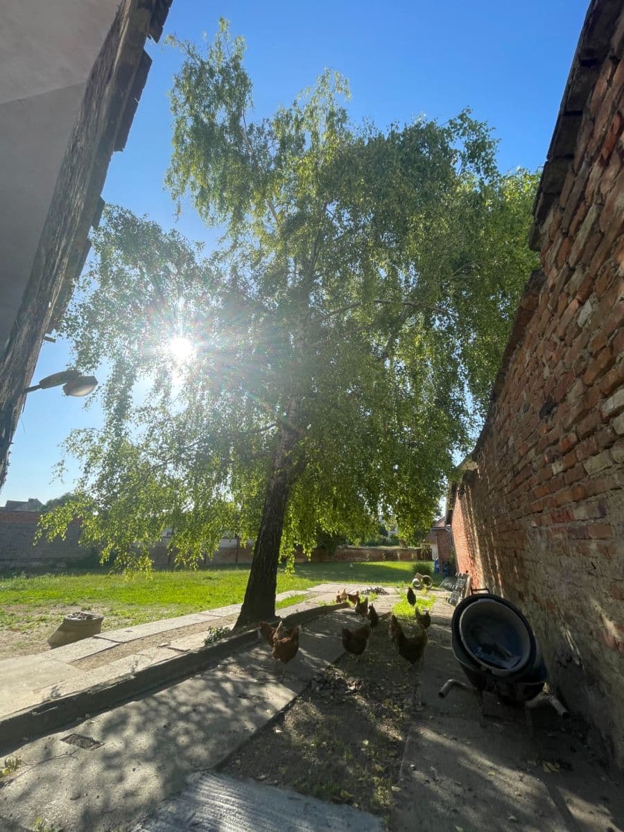 Predaj domu 360 m², pozemek 1.800 m², nám. děk. Františka Kvapila, Nezamyslice, Olomoucký kraj Predaj domu 360 m², pozemek 1.800 m², nám. děk. Františka Kvapila, Nezamyslice, Olomoucký kraj