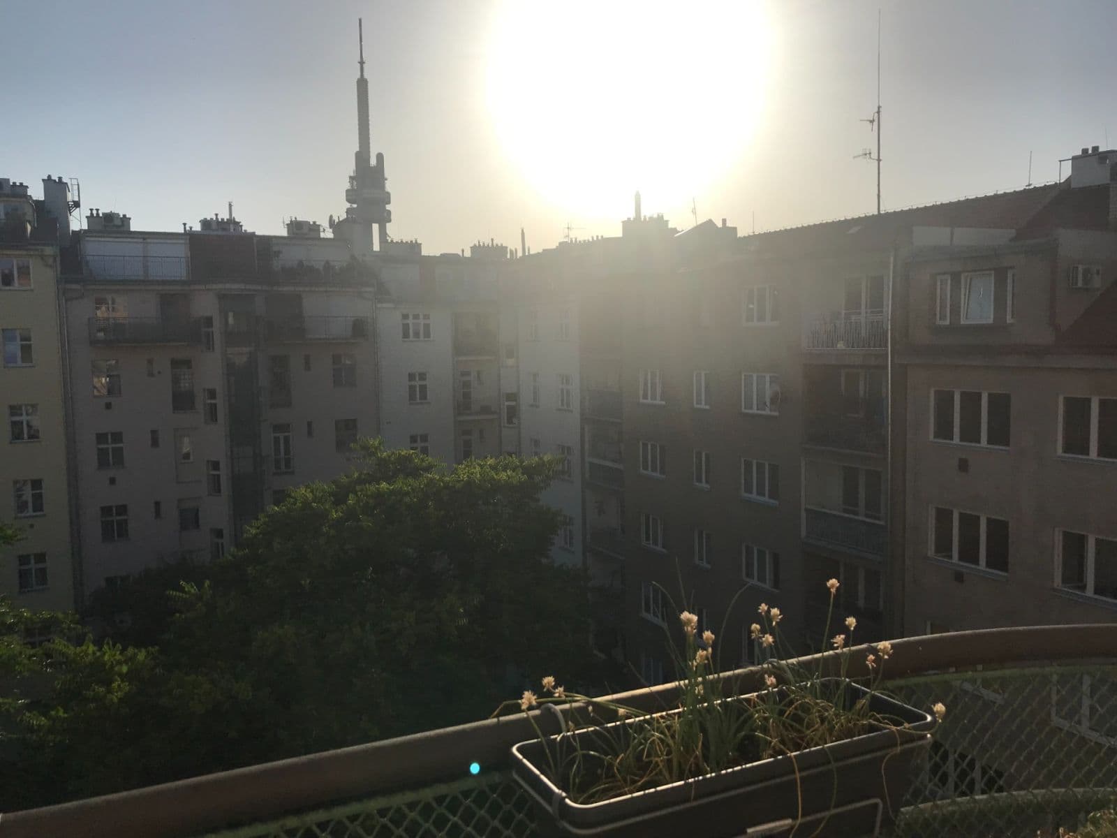 Predaj bytu 2-izbový 71 m², Jičínská, Praha, Praha Predaj bytu 2-izbový 71 m², Jičínská, Praha, Praha