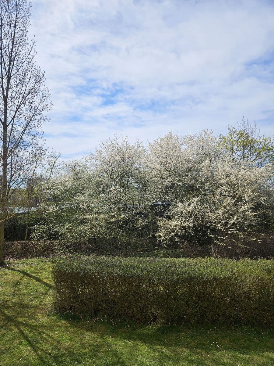 Prenájom bytu 1-izbový 31 m², Jaroslava Foglara, Praha, Praha Prenájom bytu 1-izbový 31 m², Jaroslava Foglara, Praha, Praha