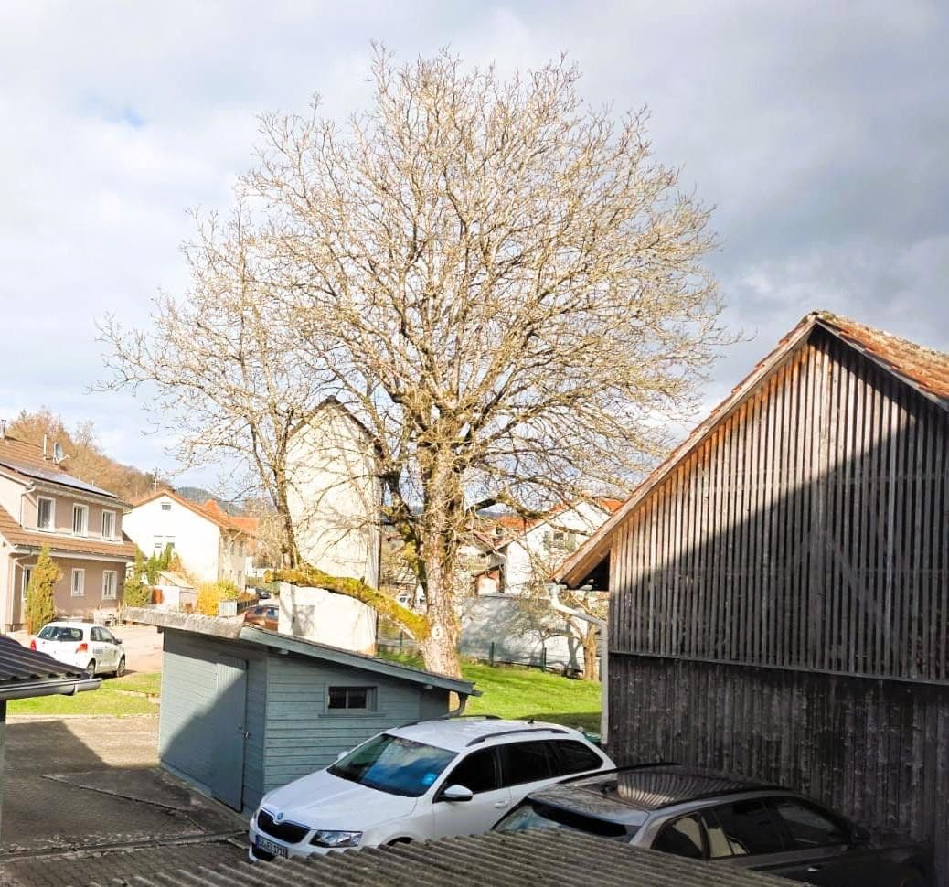 Prenájom bytu 2-izbový 58 m², Kürnberger Str. 15, Schopfheim, Bádensko-Wurttembersko Prenájom bytu 2-izbový 58 m², Kürnberger Str. 15, Schopfheim, Bádensko-Wurttembersko