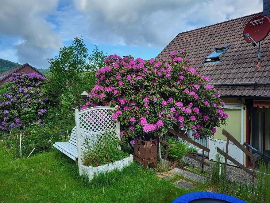 Predaj domu 274 m², pozemek 960 m², Langelsheim, Dolné Sasko Predaj domu 274 m², pozemek 960 m², Langelsheim, Dolné Sasko