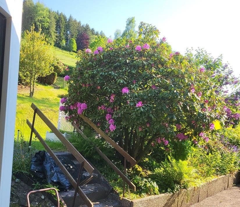 Predaj domu 274 m², pozemek 960 m², Langelsheim, Dolné Sasko Predaj domu 274 m², pozemek 960 m², Langelsheim, Dolné Sasko