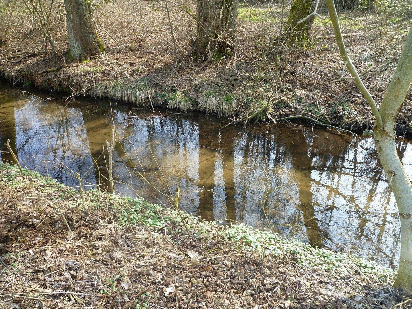 Predaj domu 135 m², pozemek 1.150 m², Wittstock/Dosse, Brandenbursko Predaj domu 135 m², pozemek 1.150 m², Wittstock/Dosse, Brandenbursko