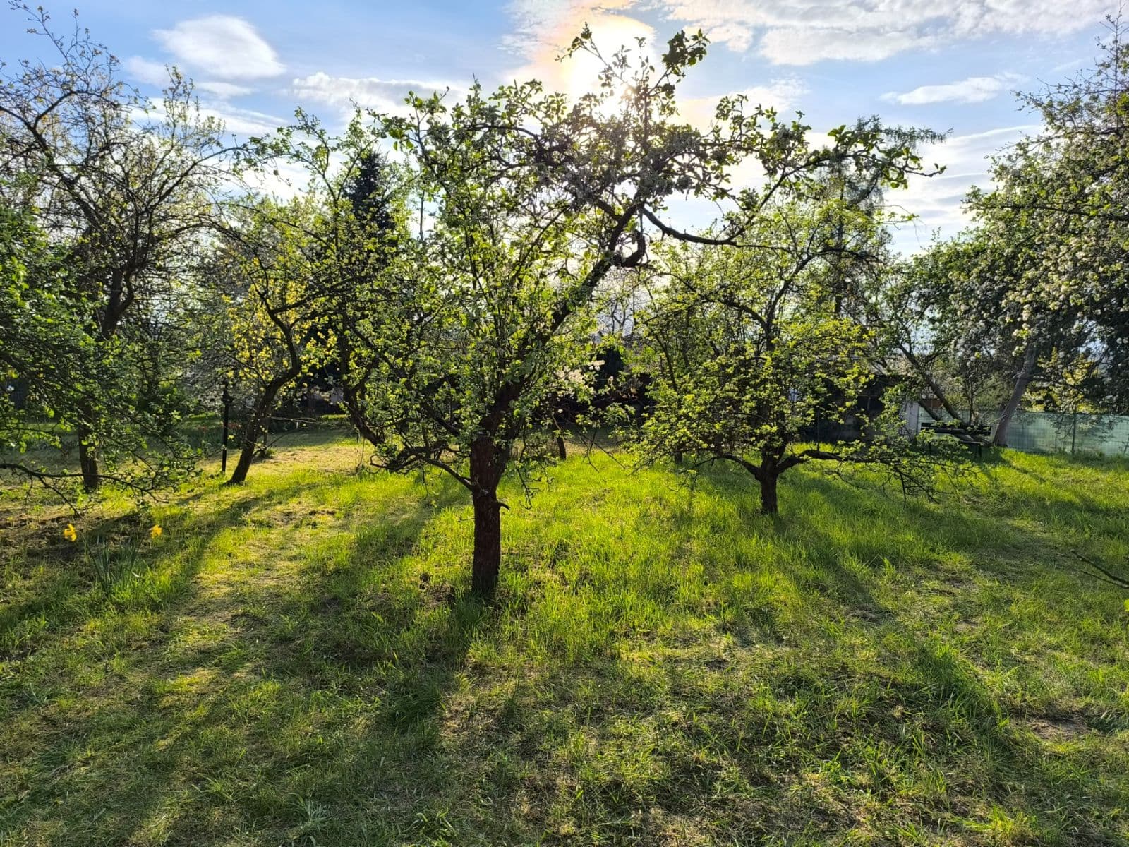Predaj pozemku 349 m², Kolín, Středočeský kraj Predaj pozemku 349 m², Kolín, Středočeský kraj