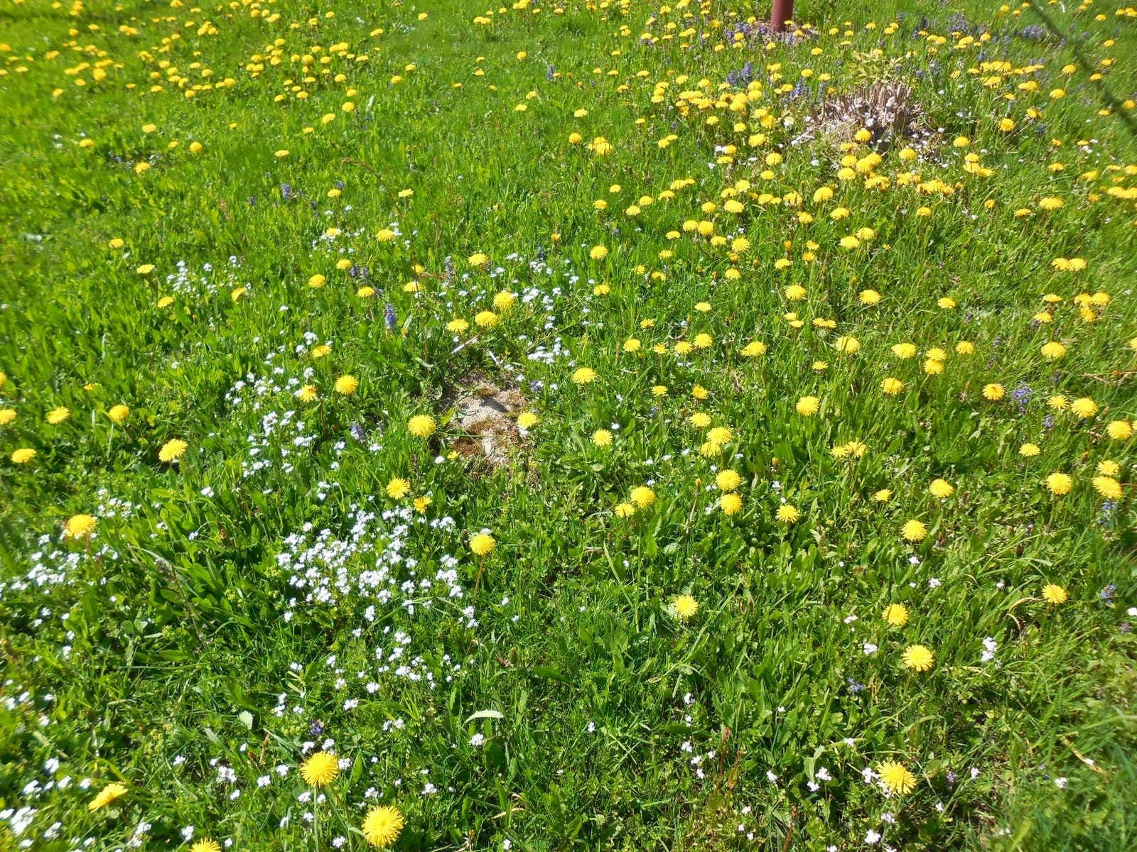 Predaj domu 200 m², pozemek 12.200 m², Roprachtice, Liberecký kraj Predaj domu 200 m², pozemek 12.200 m², Roprachtice, Liberecký kraj