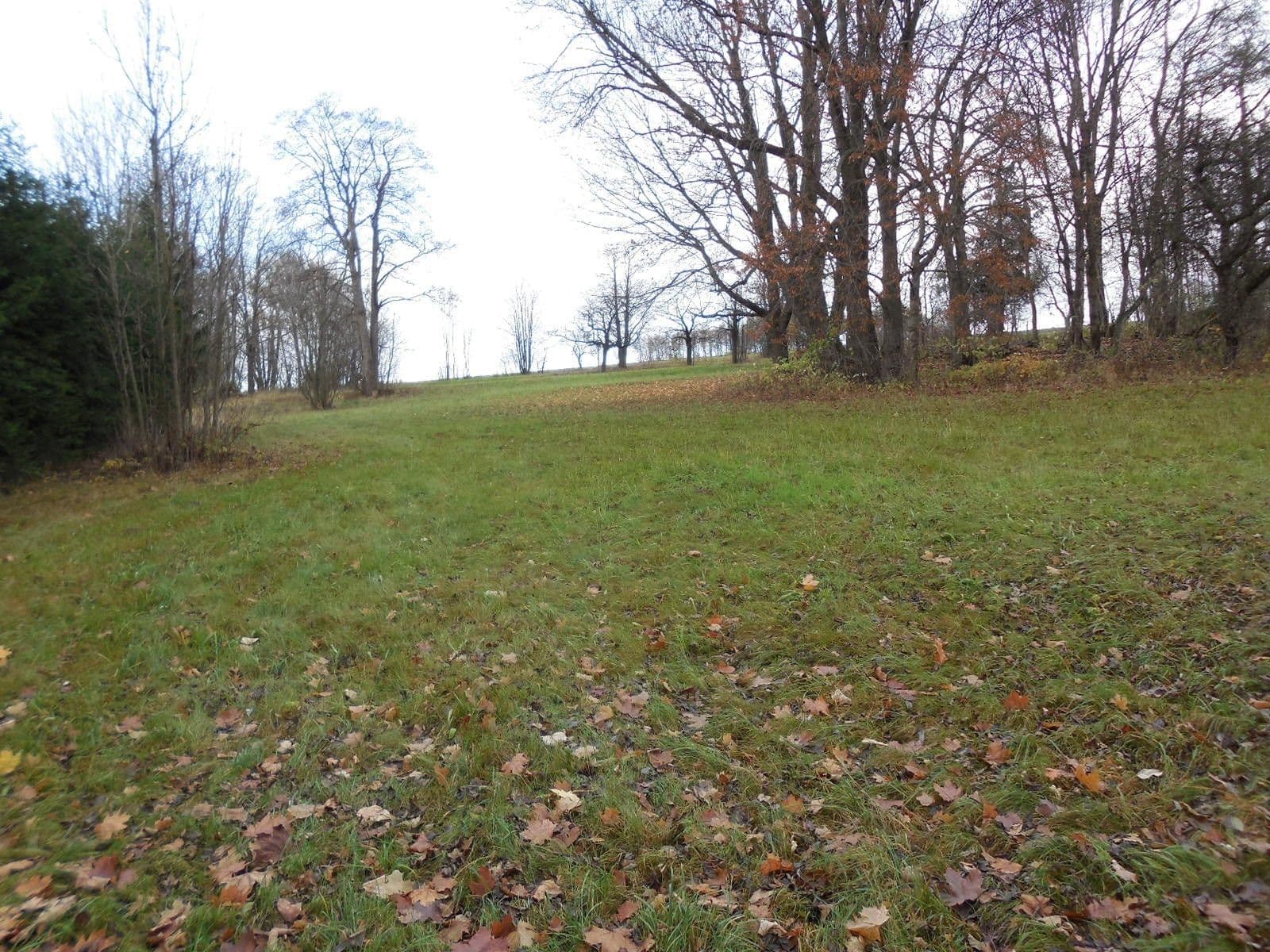 Predaj domu 200 m², pozemek 12.200 m², Roprachtice, Liberecký kraj Predaj domu 200 m², pozemek 12.200 m², Roprachtice, Liberecký kraj