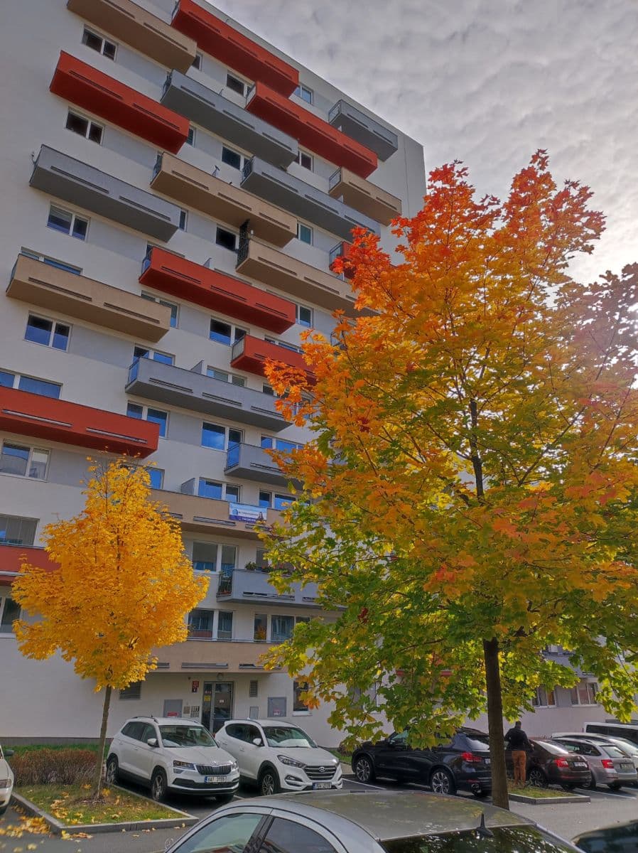 Prenájom bytu 2-izbový 54 m², Modenská, Praha, Praha Prenájom bytu 2-izbový 54 m², Modenská, Praha, Praha