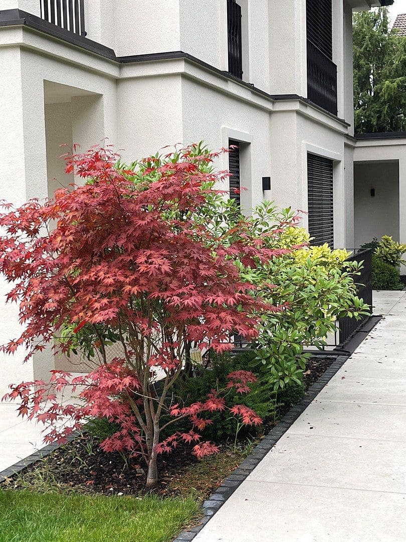 Predaj domu 243 m², pozemek 276 m², Sembdnerstraße 8, Germering, Bavorsko Predaj domu 243 m², pozemek 276 m², Sembdnerstraße 8, Germering, Bavorsko