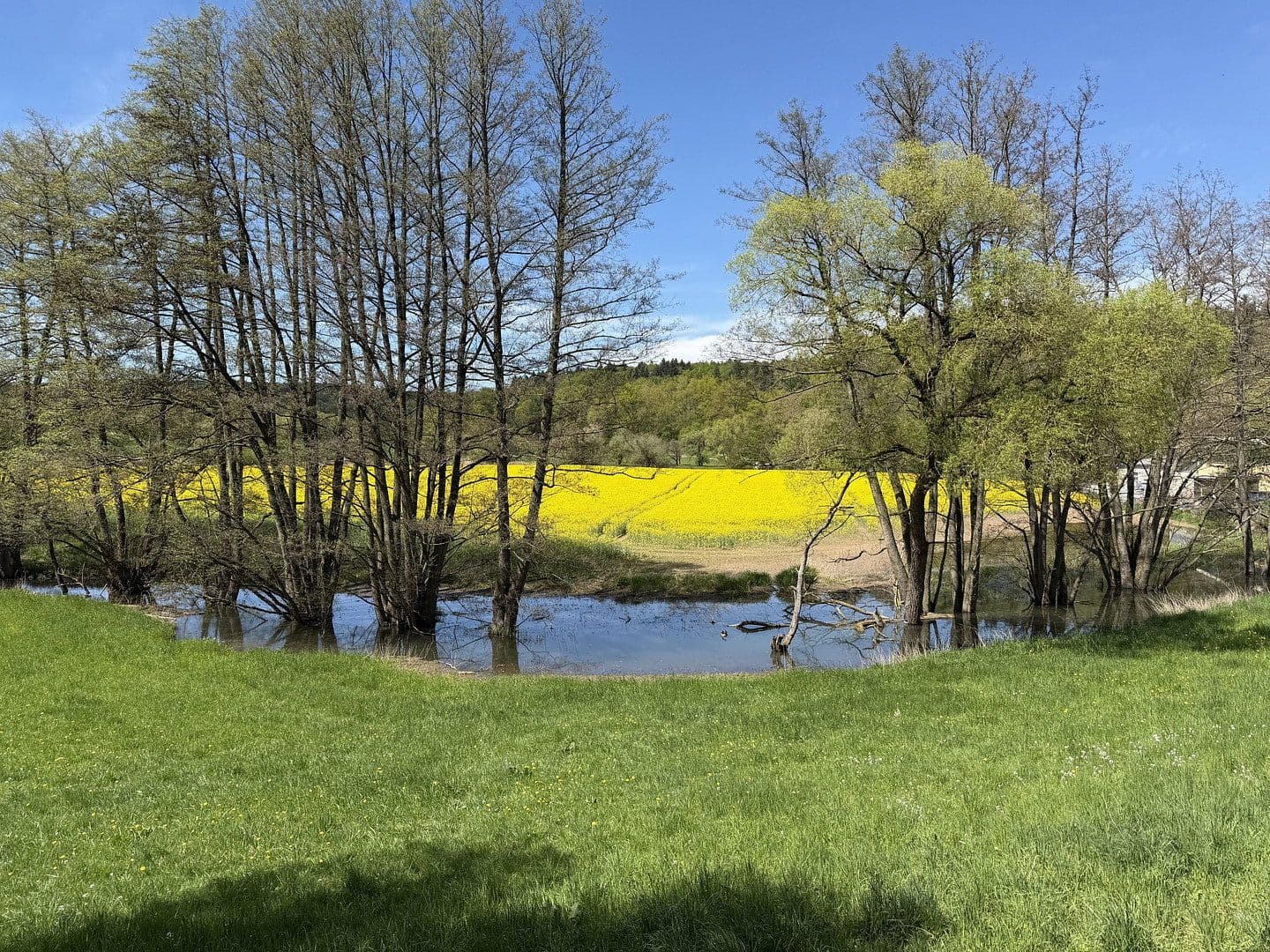 Prenájom bytu 3-izbový 60 m², Groß-Bieberau, Hesensko Prenájom bytu 3-izbový 60 m², Groß-Bieberau, Hesensko