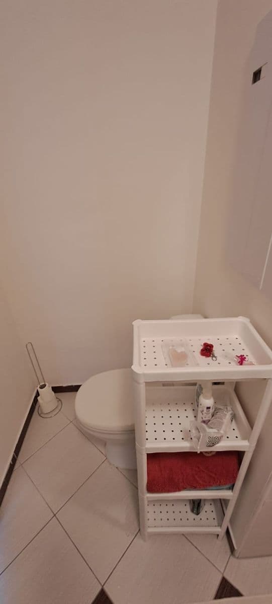 Prenájom bytu 1-izbový 30 m², Polská, Ostrava, Moravskoslezský kraj Prenájom bytu 1-izbový 30 m², Polská, Ostrava, Moravskoslezský kraj