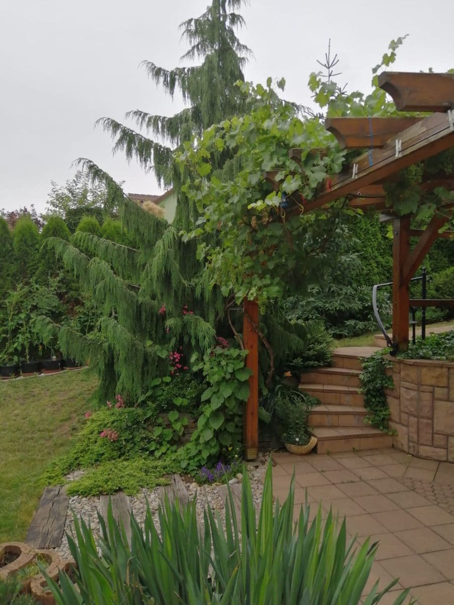 Predaj domu 191 m², pozemek 905 m², Okružní, Choceň, Pardubický kraj Predaj domu 191 m², pozemek 905 m², Okružní, Choceň, Pardubický kraj