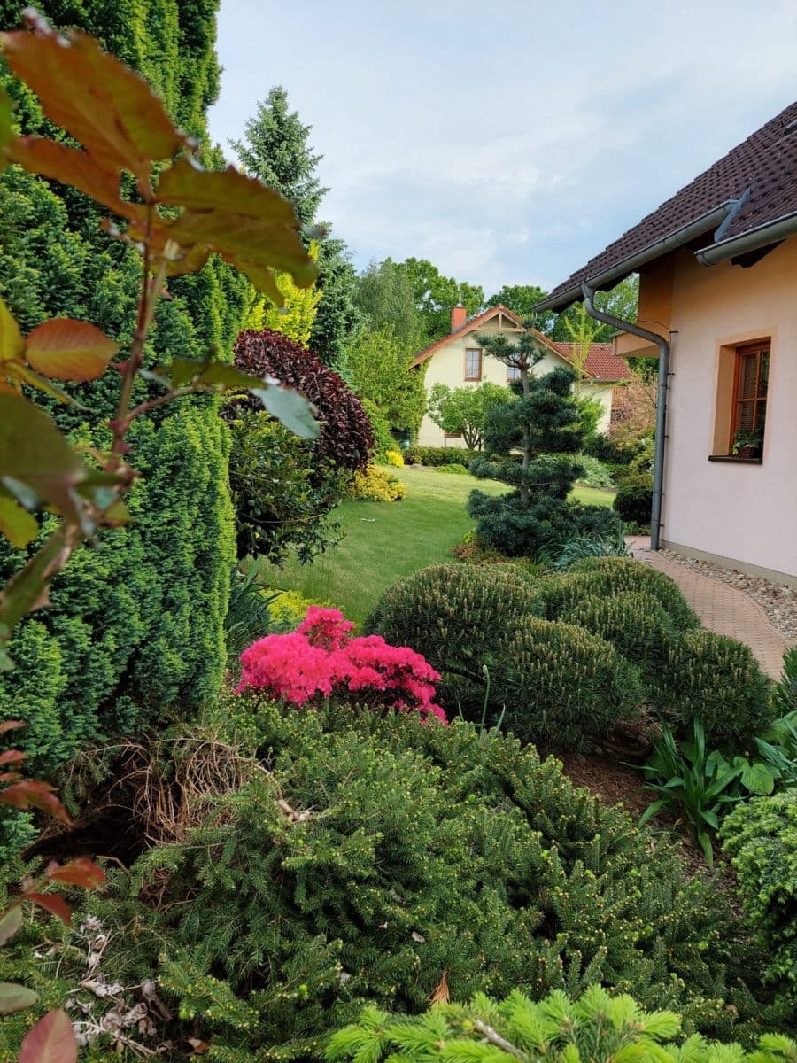 Predaj domu 191 m², pozemek 905 m², Okružní, Choceň, Pardubický kraj Predaj domu 191 m², pozemek 905 m², Okružní, Choceň, Pardubický kraj