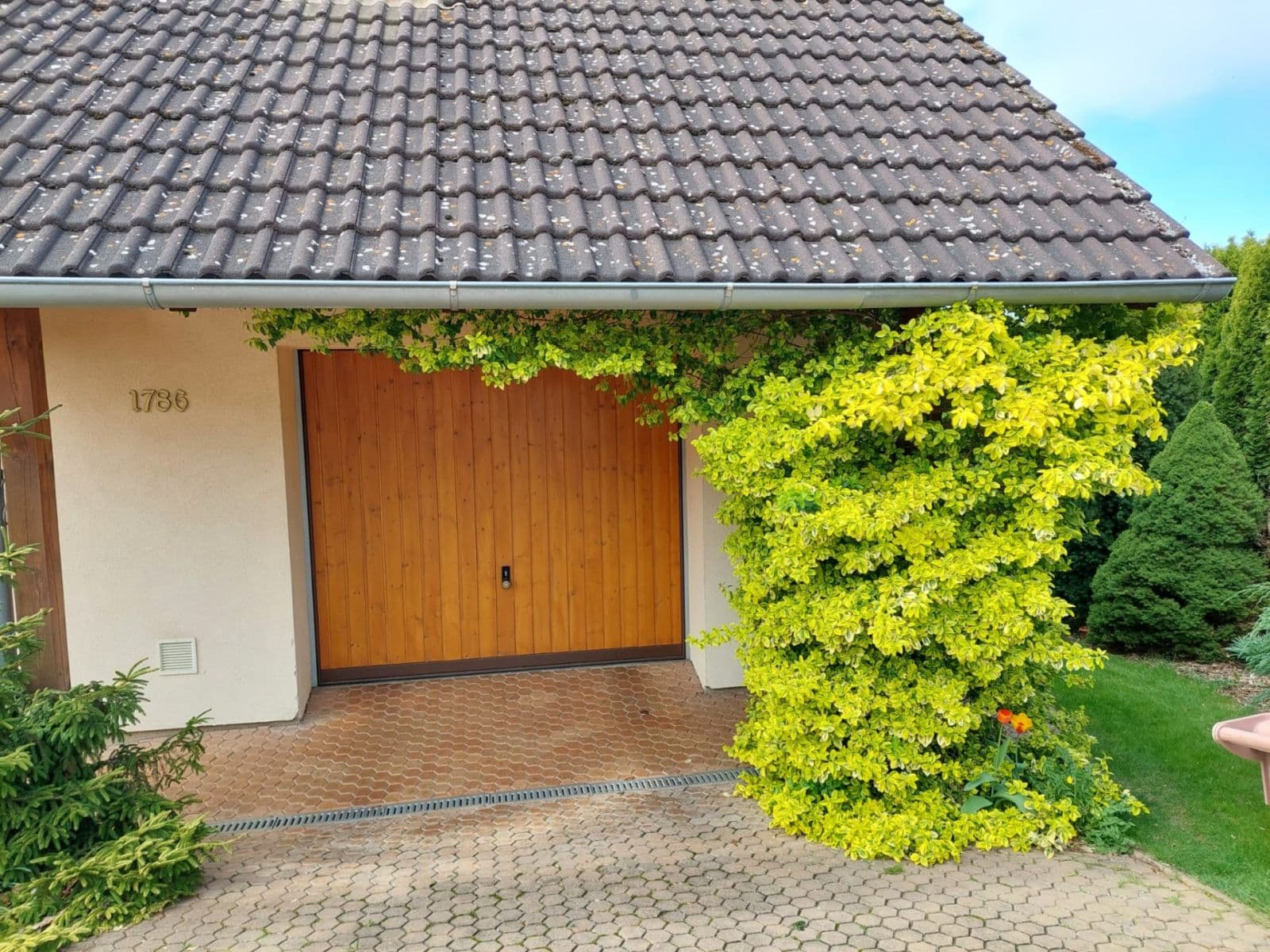 Predaj domu 191 m², pozemek 905 m², Okružní, Choceň, Pardubický kraj Predaj domu 191 m², pozemek 905 m², Okružní, Choceň, Pardubický kraj