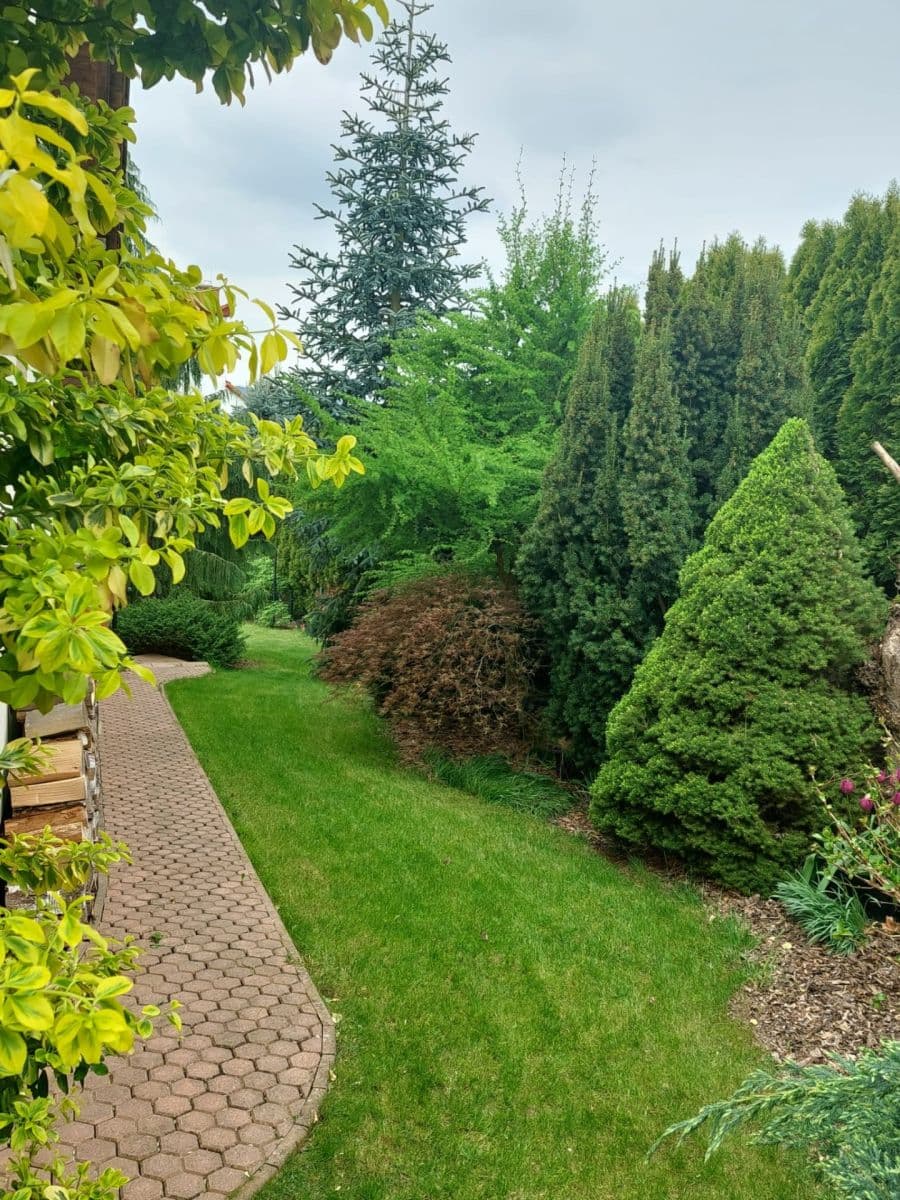 Predaj domu 191 m², pozemek 905 m², Okružní, Choceň, Pardubický kraj Predaj domu 191 m², pozemek 905 m², Okružní, Choceň, Pardubický kraj