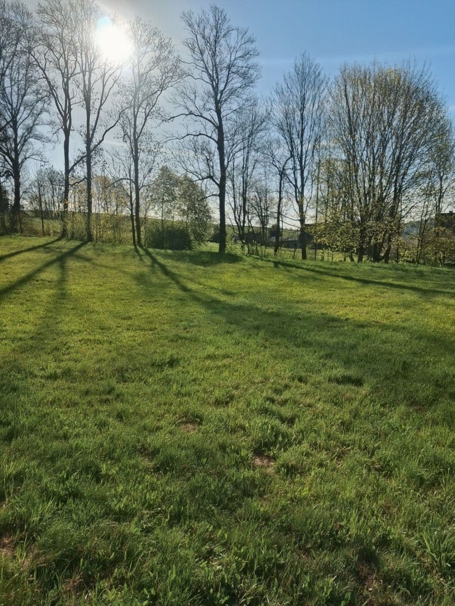 Predaj pozemku 2.670 m², Svojek, Liberecký kraj Predaj pozemku 2.670 m², Svojek, Liberecký kraj