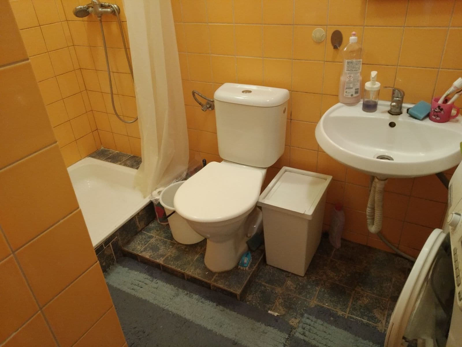 Prenájom bytu Garsoniéra 36 m², Hlaváčova, Brno, Jihomoravský kraj Prenájom bytu Garsoniéra 36 m², Hlaváčova, Brno, Jihomoravský kraj