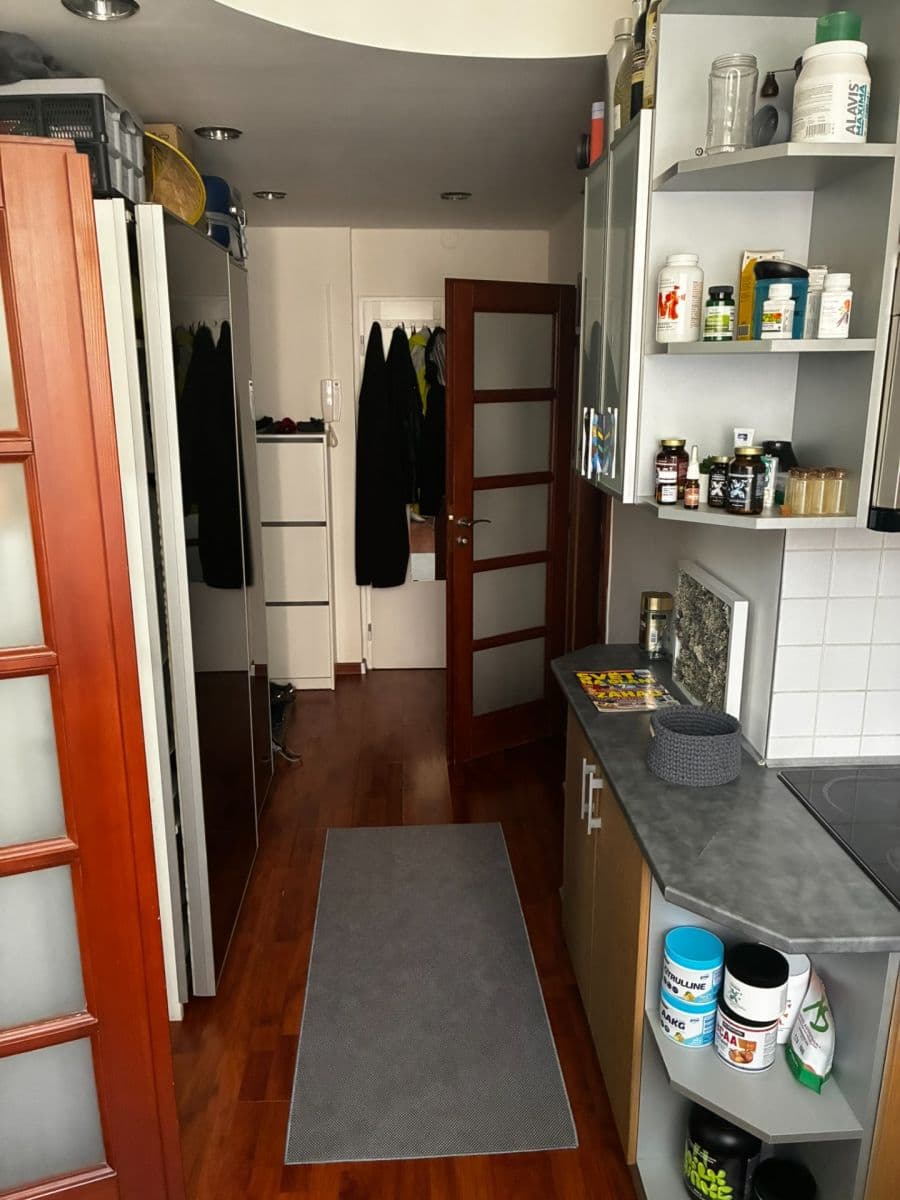 Prenájom bytu 1-izbový 36 m², Nad ostrovem, Praha, Praha Prenájom bytu 1-izbový 36 m², Nad ostrovem, Praha, Praha