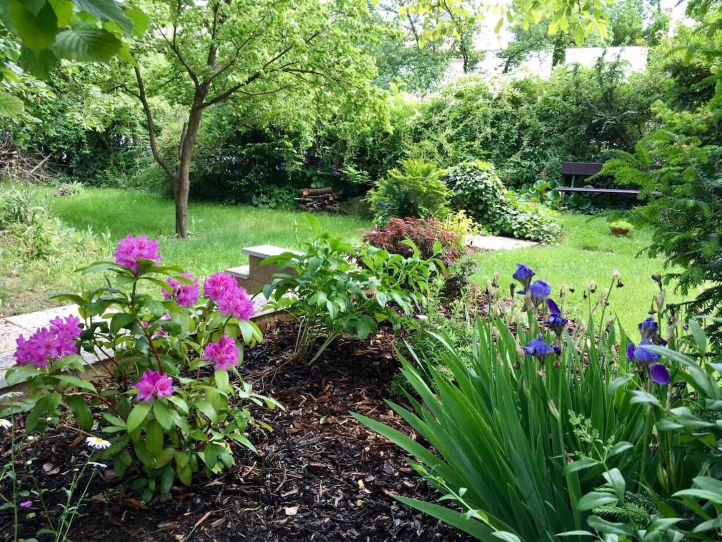 Prenájom bytu 2-izbový 50 m², U Malvazinky, Praha, Praha Prenájom bytu 2-izbový 50 m², U Malvazinky, Praha, Praha