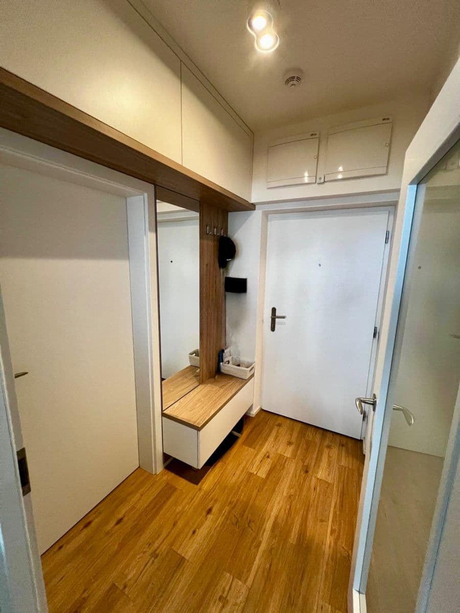 Prenájom bytu 2-izbový 42 m², Vídeňská, Brno, Jihomoravský kraj Prenájom bytu 2-izbový 42 m², Vídeňská, Brno, Jihomoravský kraj