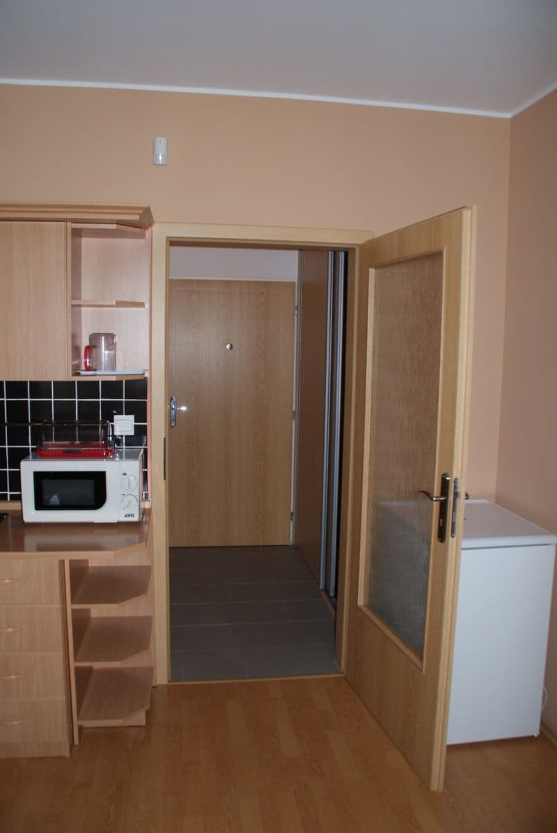 Prenájom bytu 1-izbový 29 m², Černochova, Praha, Praha Prenájom bytu 1-izbový 29 m², Černochova, Praha, Praha