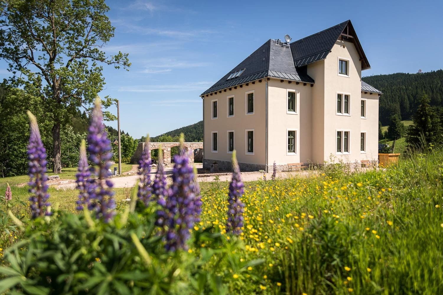 Predaj domu 377 m², pozemek 20.000 m², Eibenstock, Sasko Predaj domu 377 m², pozemek 20.000 m², Eibenstock, Sasko