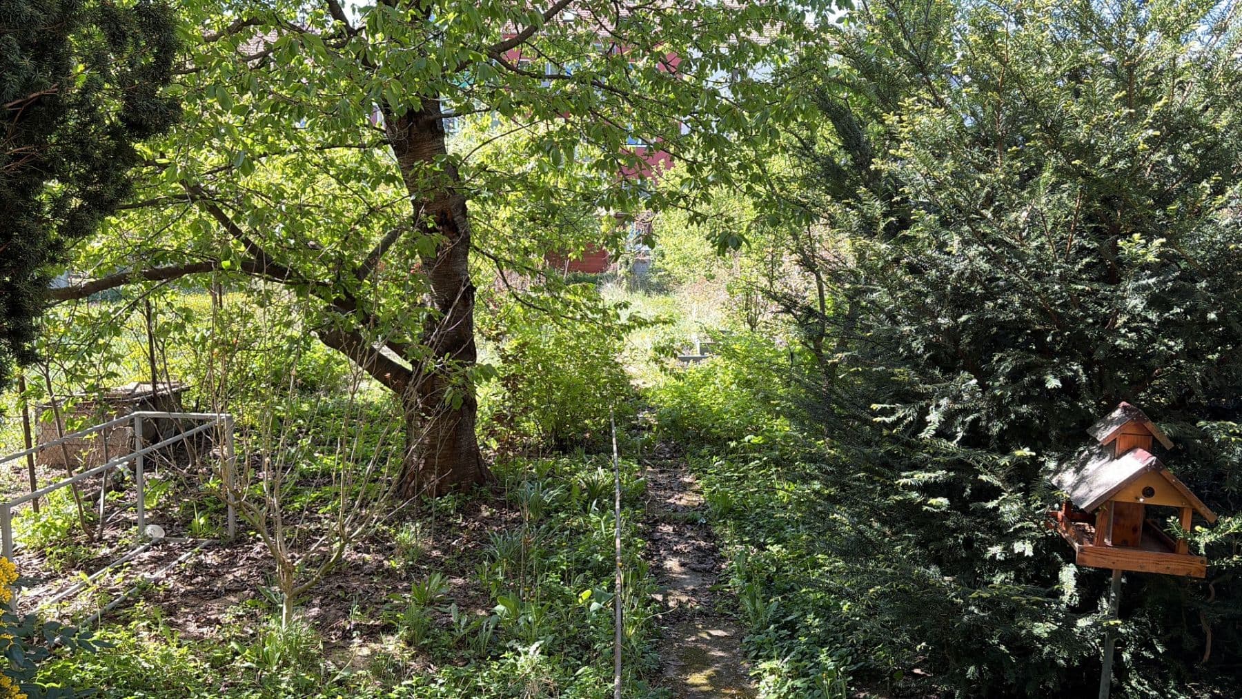 Prenájom bytu 1-izbový 30 m², Šmejkalova, Brno, Jihomoravský kraj Prenájom bytu 1-izbový 30 m², Šmejkalova, Brno, Jihomoravský kraj