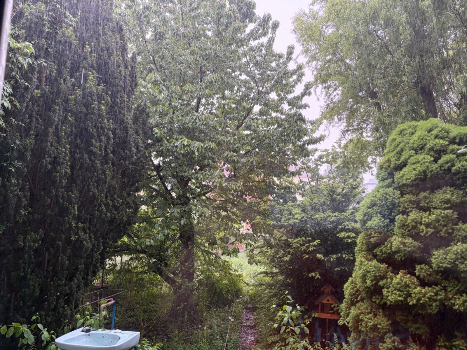Prenájom bytu 1-izbový 30 m², Šmejkalova, Brno, Jihomoravský kraj Prenájom bytu 1-izbový 30 m², Šmejkalova, Brno, Jihomoravský kraj