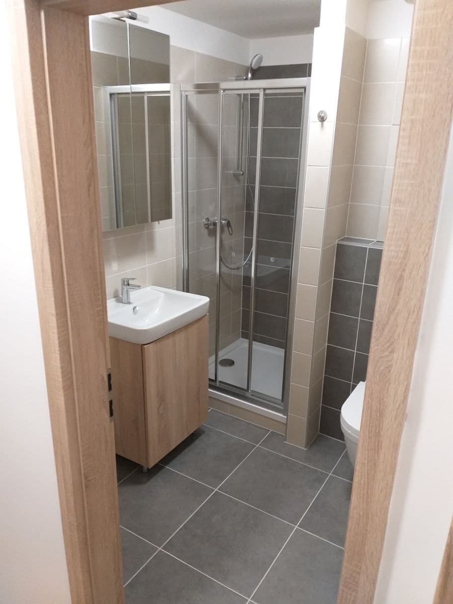 Prenájom bytu 1-izbový 36 m², Přadlácká, Brno, Jihomoravský kraj Prenájom bytu 1-izbový 36 m², Přadlácká, Brno, Jihomoravský kraj