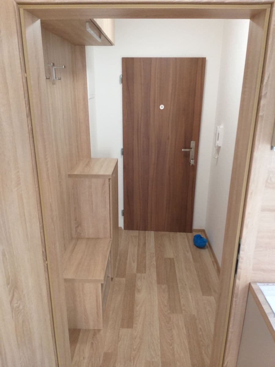 Prenájom bytu 1-izbový 36 m², Přadlácká, Brno, Jihomoravský kraj Prenájom bytu 1-izbový 36 m², Přadlácká, Brno, Jihomoravský kraj
