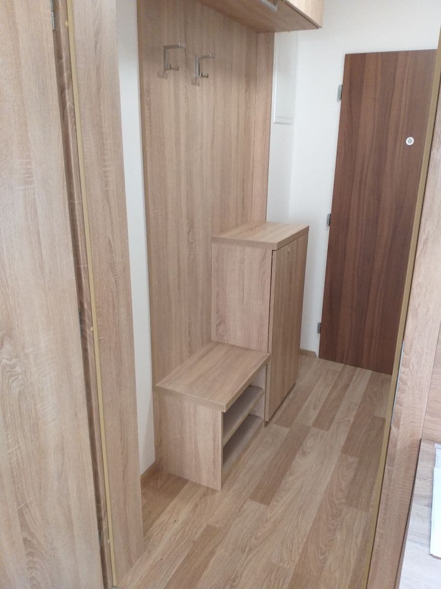 Prenájom bytu 1-izbový 36 m², Přadlácká, Brno, Jihomoravský kraj Prenájom bytu 1-izbový 36 m², Přadlácká, Brno, Jihomoravský kraj