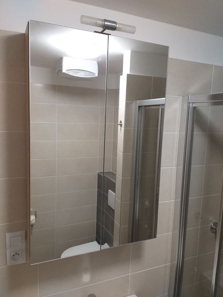 Prenájom bytu 1-izbový 36 m², Přadlácká, Brno, Jihomoravský kraj Prenájom bytu 1-izbový 36 m², Přadlácká, Brno, Jihomoravský kraj