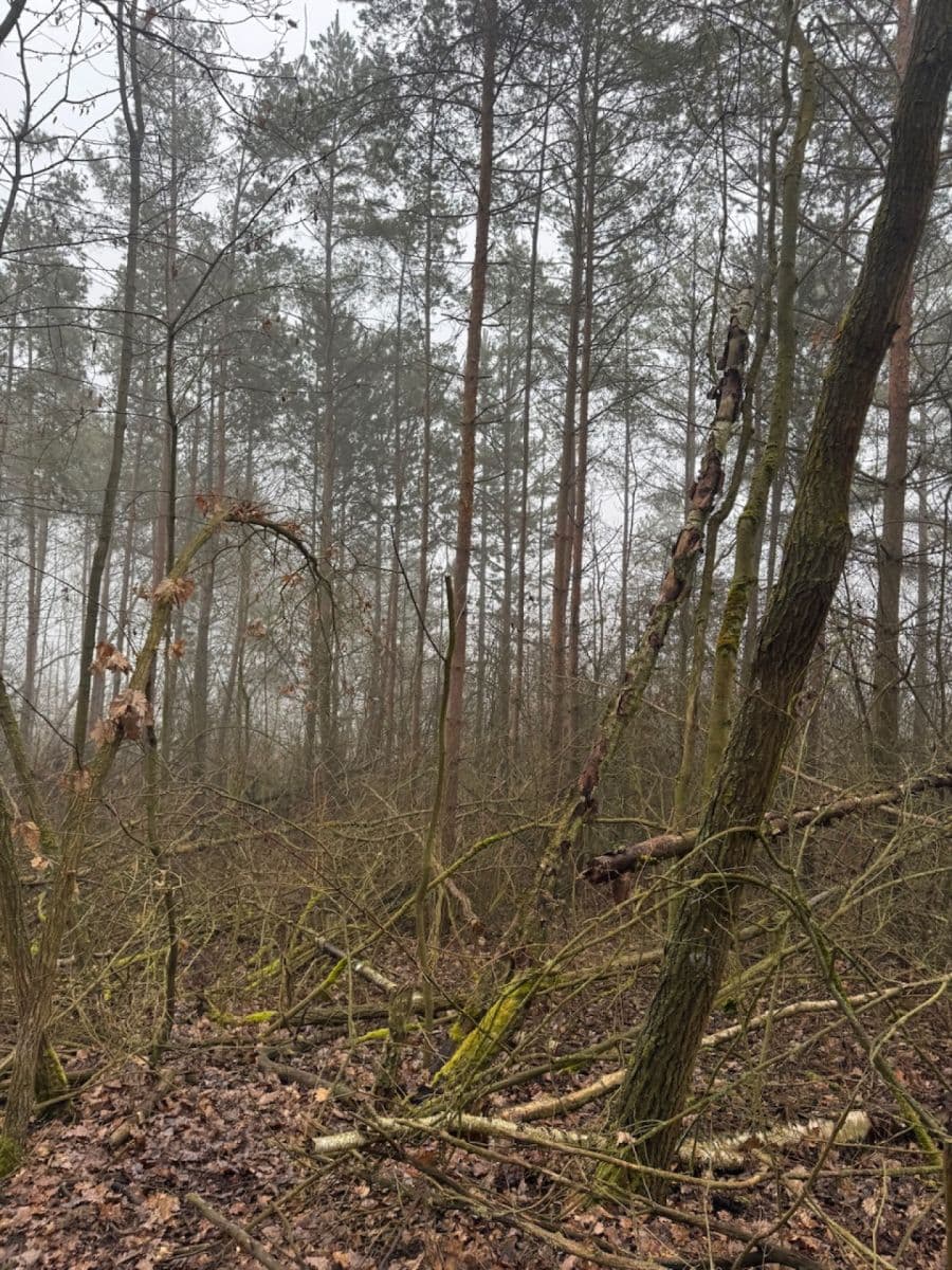 Predaj pozemku 3.854 m², Chotiněves, Ústecký kraj Predaj pozemku 3.854 m², Chotiněves, Ústecký kraj