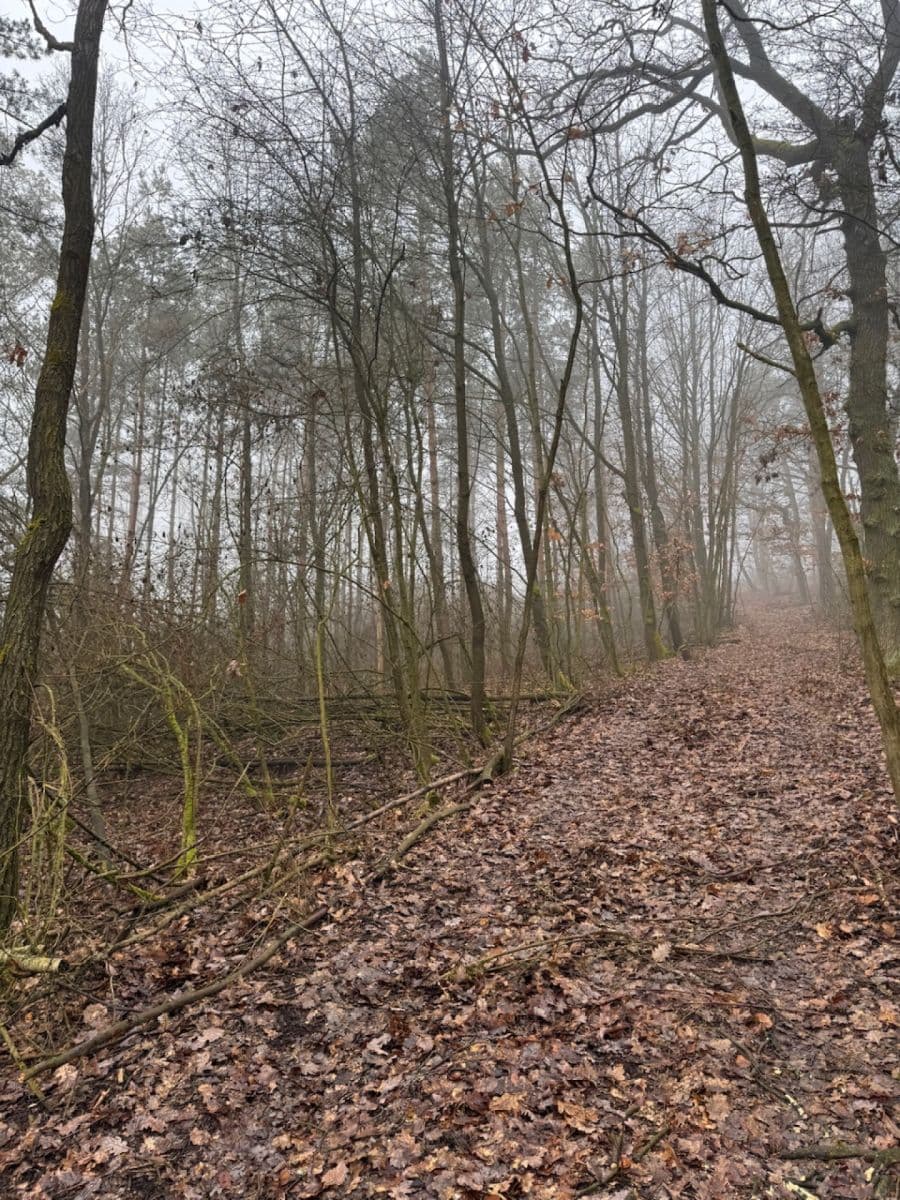 Predaj pozemku 3.854 m², Chotiněves, Ústecký kraj Predaj pozemku 3.854 m², Chotiněves, Ústecký kraj