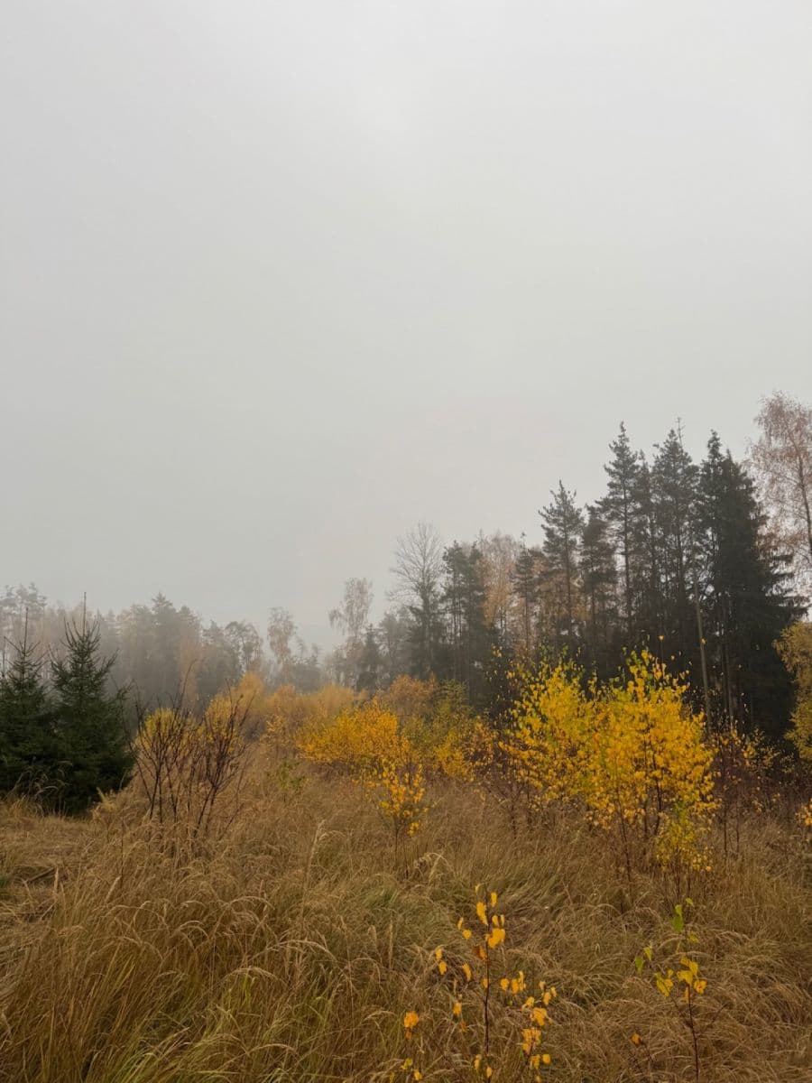 Predaj pozemku 13.538 m², Úboč, Plzeňský kraj Predaj pozemku 13.538 m², Úboč, Plzeňský kraj