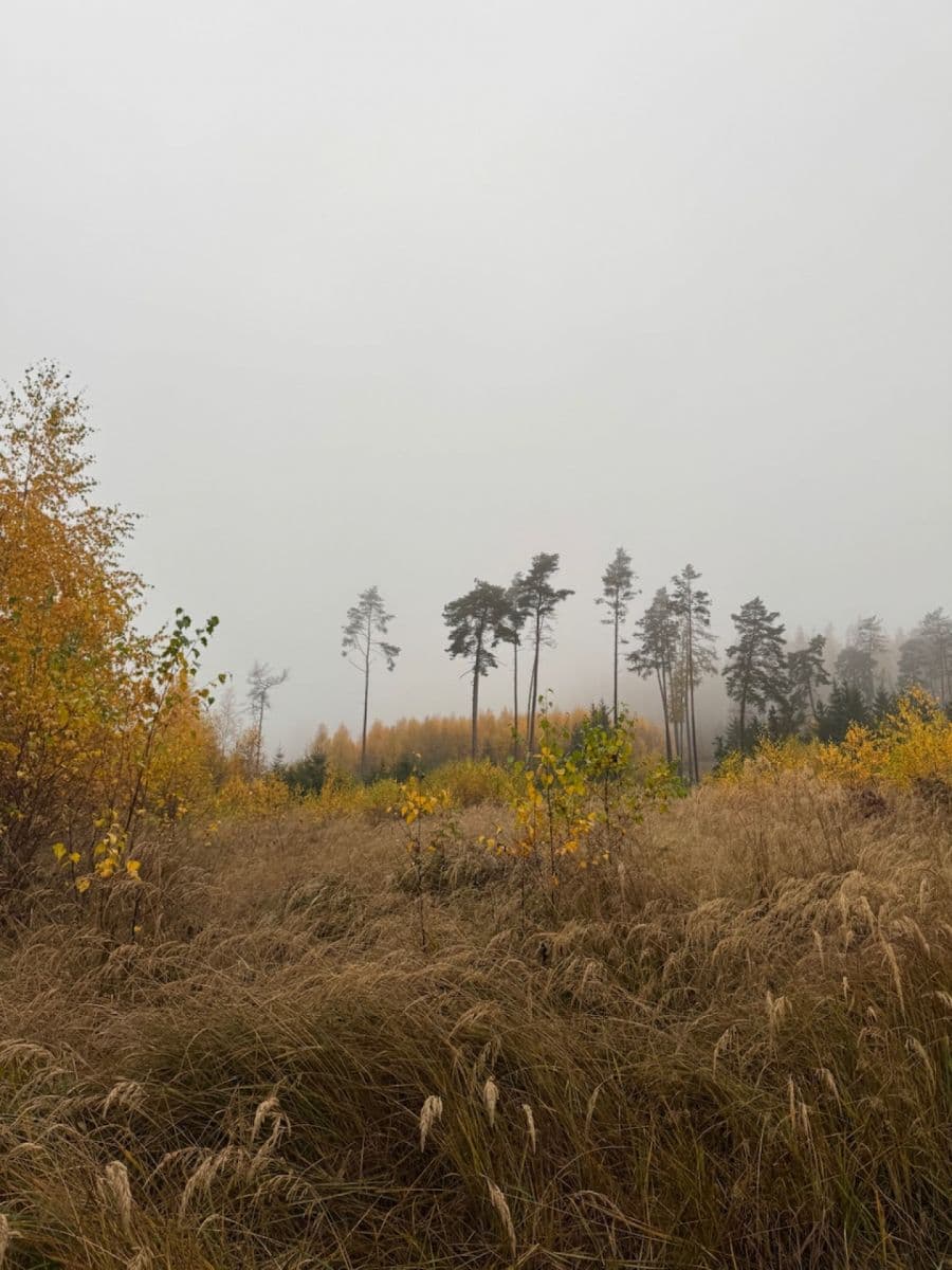 Predaj pozemku 13.538 m², Úboč, Plzeňský kraj Predaj pozemku 13.538 m², Úboč, Plzeňský kraj