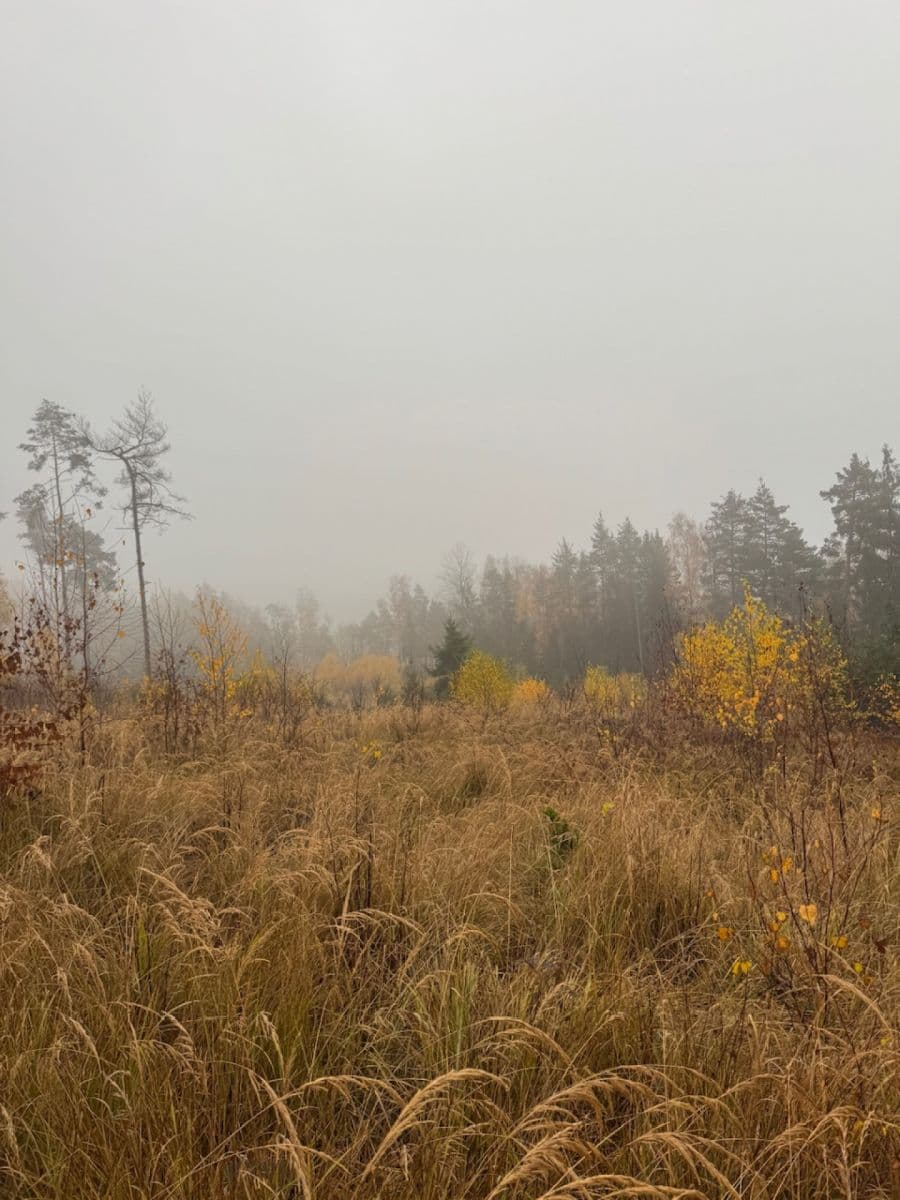 Predaj pozemku 13.538 m², Úboč, Plzeňský kraj Predaj pozemku 13.538 m², Úboč, Plzeňský kraj