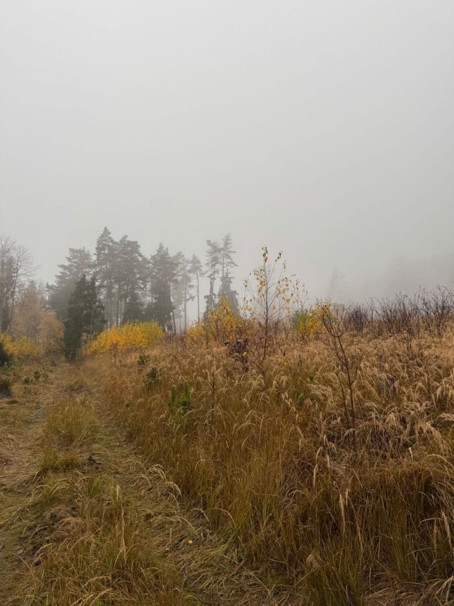 Predaj pozemku 13.538 m², Úboč, Plzeňský kraj Predaj pozemku 13.538 m², Úboč, Plzeňský kraj