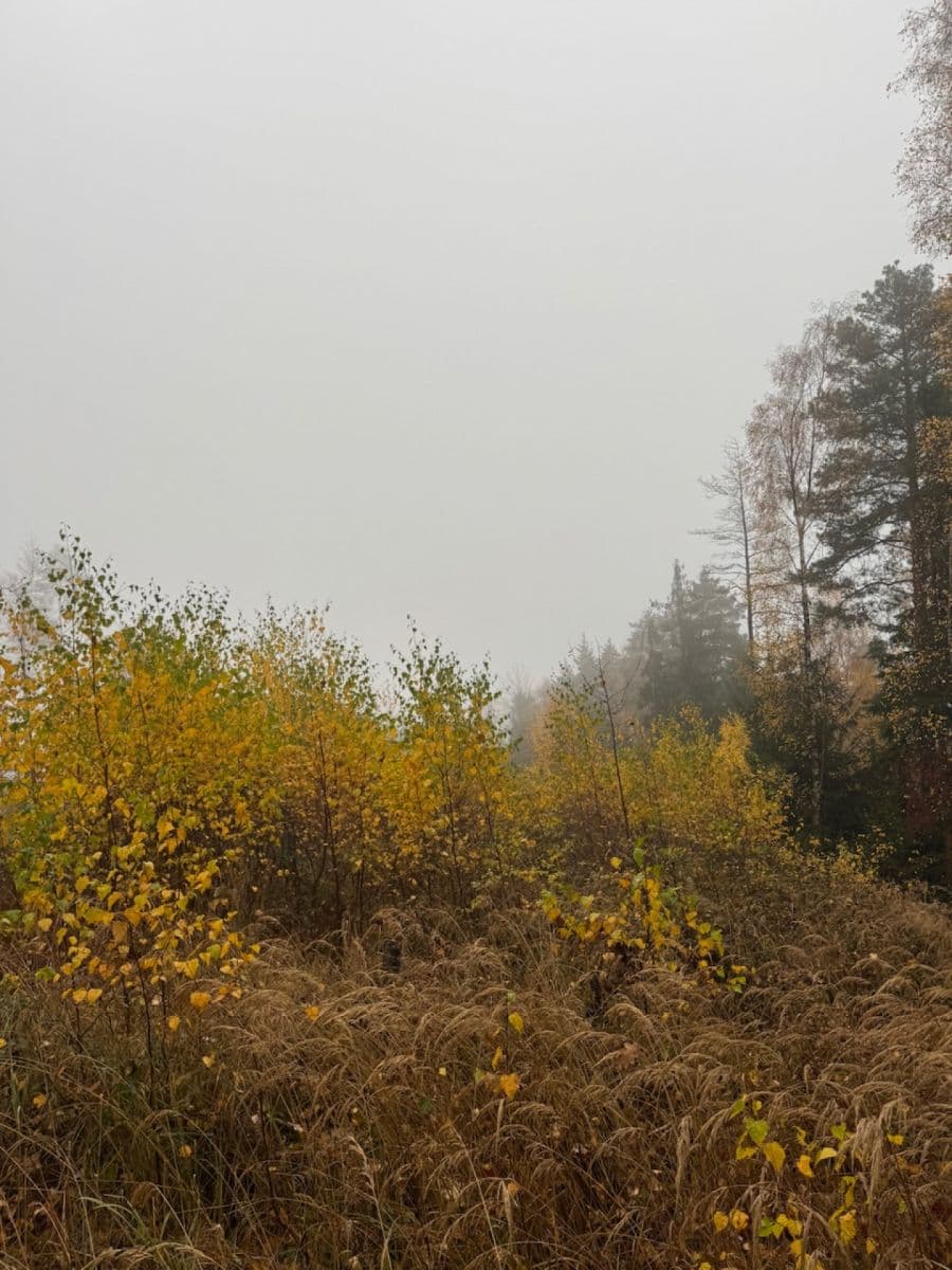 Predaj pozemku 13.538 m², Úboč, Plzeňský kraj Predaj pozemku 13.538 m², Úboč, Plzeňský kraj
